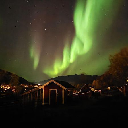 Koselig Dyregard I Tromso Hotel Buitenkant foto