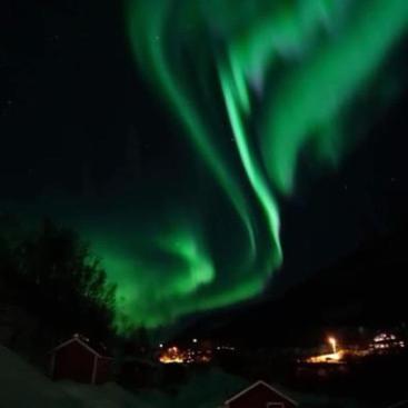 Koselig Dyregard I Tromso Hotel Buitenkant foto