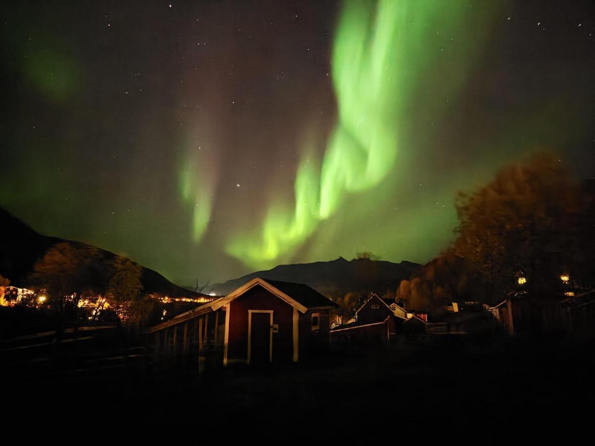 Koselig Dyregard I Tromso Hotel Buitenkant foto